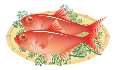 fresh alfonsin on a bamboo basket, isolated on the white background.のイラスト素材