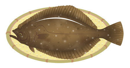 The flounder on a bamboo basket, isolated on the white background.のイラスト素材