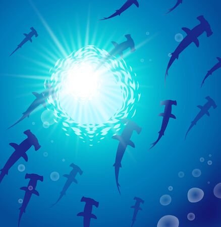 The swimming hammerhead sharks in shining oceanのイラスト素材