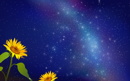 Sunflower Milky Wayのイラスト素材