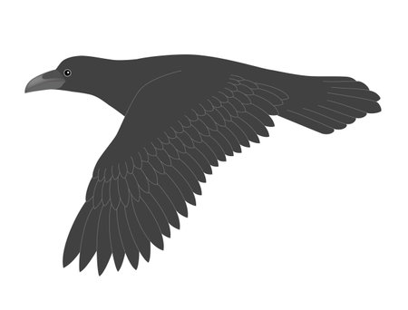 crowのイラスト素材