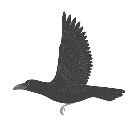 crowのイラスト素材