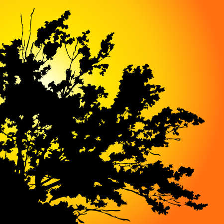 treeのイラスト素材