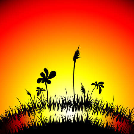 summer backgroundのイラスト素材