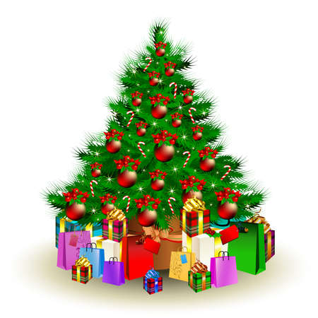 christmas firのイラスト素材