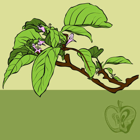 floral backgroundのイラスト素材