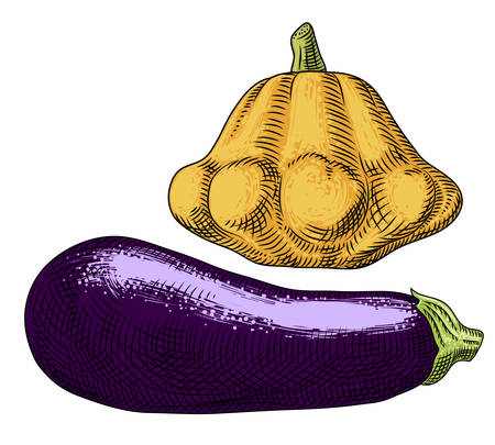 Yellow squash and eggplant on a white background.  Freehand drawing.のイラスト素材