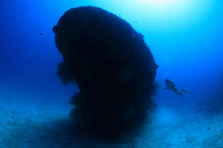 Fesdu shipwreck in the indian oceanの写真素材