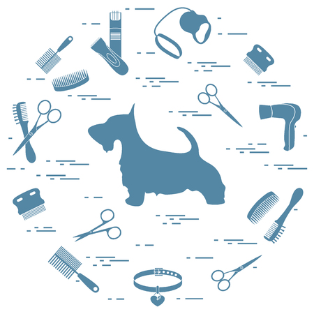 Terrier silhouette, combs, collar, leash, razor, hair dryer, scissors arranged in a circle. Health care, grooming, caring for a dog, exhibition.のイラスト素材