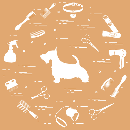 Scotch terrier silhouette, combs, collar, leash, razor, hair dryer, scissors, sprayer arranged in a circle. Health care, grooming, caring for a dog, exhibition.のイラスト素材