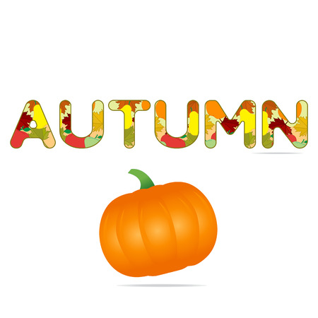 Pumpkin vector illustration with decorated autumn inscription. Autumn halloween pumpkin. Harvest festival. Thanksgiving Day. Vegetable icon or print.のイラスト素材