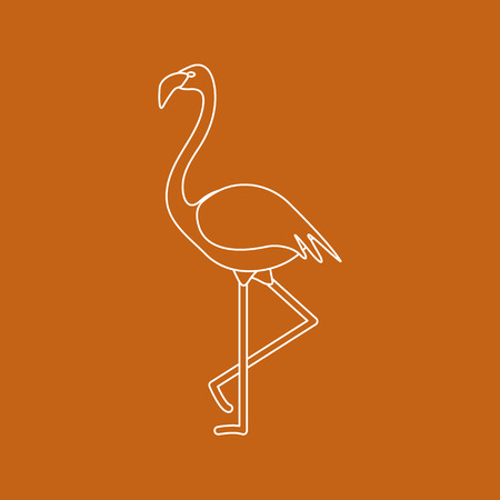 Vector illustration with Flamingo bird. Design for poster or print.のイラスト素材