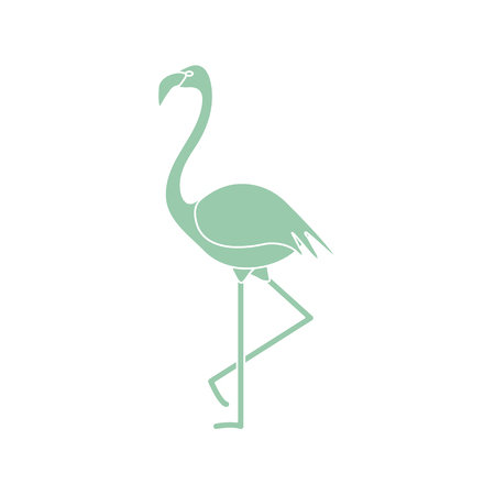 Vector illustration with Flamingo bird. Design for poster or print.のイラスト素材