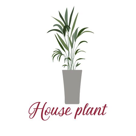 Vector illustration with house plant isolated on white background. Potted houseplant. Green natural decor for home and interior. Trendy background. Flat style. Design for card, banner, poster, print.のイラスト素材