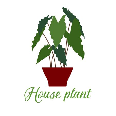 Vector illustration with house plant isolated on white background. Potted houseplant. Green natural decor for home and interior. Trendy background. Flat style. Design for card, banner, poster, print.のイラスト素材