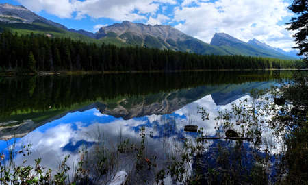 Reflections in still water. Honeymoon lake in Canadian Rockies. Jasper National Park. Alberta. Canada.の写真素材