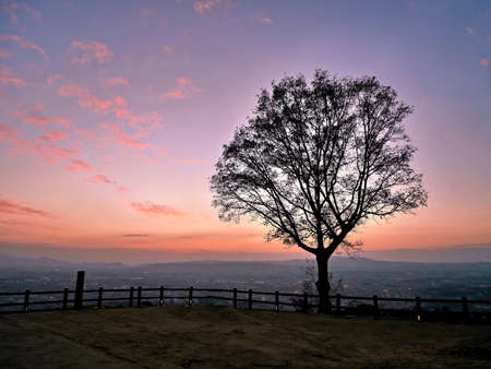 Glowing twilight colors over city and tree silhouette. Hill above Nara. Kansai region of Japan. UNESCO World Heritage Site.の写真素材