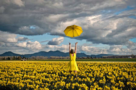 Happy woman in daffodil field with yellow umbrella. Tulip festival near Seattle. Washington. United States.の写真素材