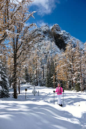 Young sporty woman snowshoeing in alpine larch forest in full autumn yellow color. Canadian Rocky Mountains. Banff National Park. Alberta. Canadaの写真素材