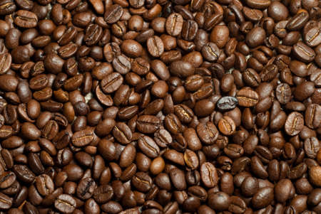 Roasted coffee seeds