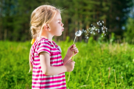 Blond little girl blowing a dandelionの写真素材