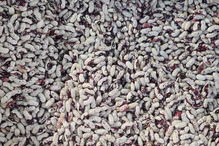 Closeup on group of dry beans, copy space backgroundの写真素材