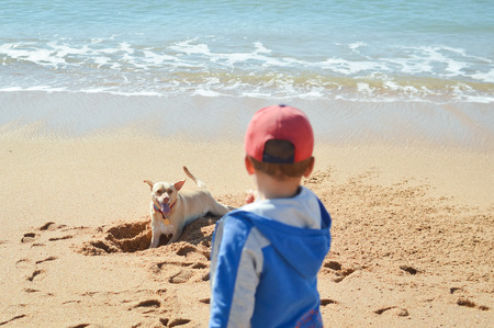 Picture back view of boy with dog on the beach outdoors backgroundの写真素材