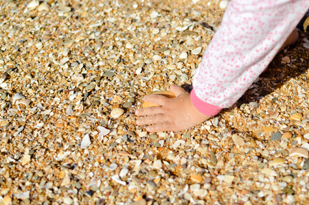 Closeup on child hands with shells on beach backgroundの写真素材