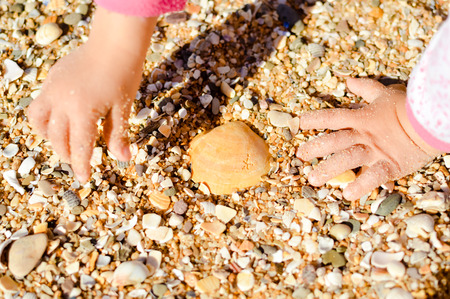 Closeup on child hands with shells on beach background