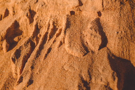 Sandy drought land texture backgroundの写真素材