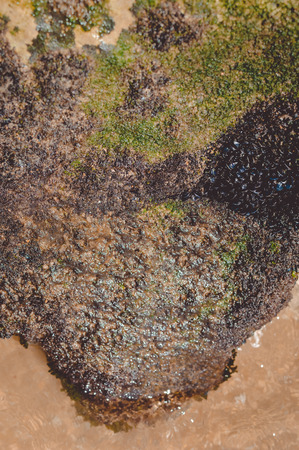 Abstract nature stone rock ground closeup background