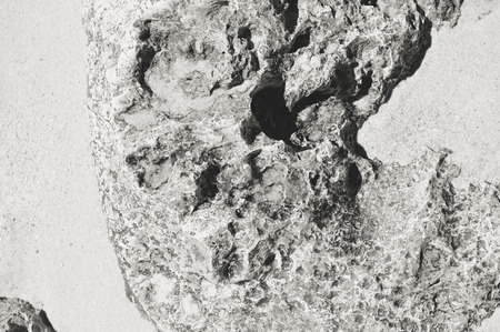 Stone rock seacoast, nature background outdoors, closeupの写真素材