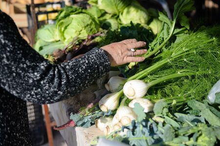 Fennel, lettuce for a salad. Female hand choosing on green background