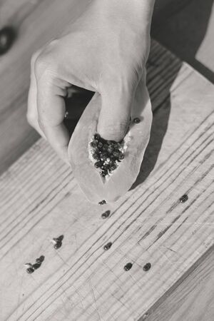 Black and white image closeup on hand holding ripe half papaya on table backgroundの写真素材