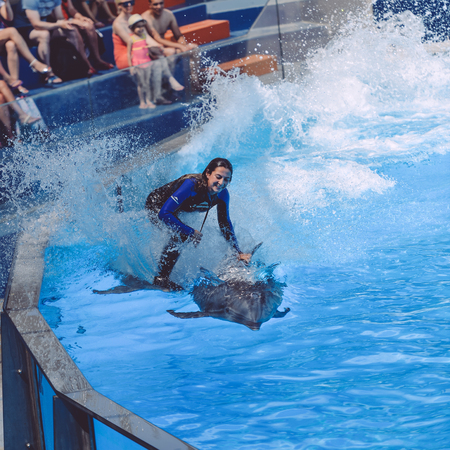 Algarve, Portugal - June 4, 2016: Dolphinarium - show with dolphins in Zooのeditorial素材