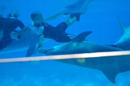 Zoomarine Portugal - June 4, 2016: Clear water with amazing dolphins show Algarve Water Theme Park Dolphinarium, Oceans of Fun backgroundのeditorial素材