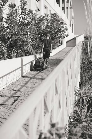 Silhouette of child walking on sunny outdoors background. Back side viewの写真素材
