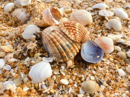 Natural sandy surface ocean sea beach backdrop top view background