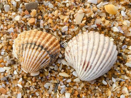 Natural sandy surface ocean sea beach backdrop top view background