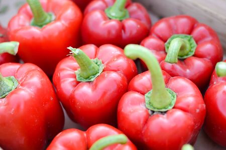 Group of fresh green and red peppers in a supermarket. Color full and healthy concept.の写真素材