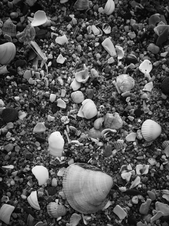Black abstract natural sandy beach closeup, volcanic seacoast background. Space surface for textの写真素材