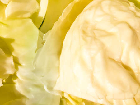 Macro closeup shot of cabbage natural texture surface backgroundの写真素材