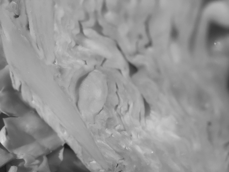 Macro closeup shot of cabbage natural texture surface background. Black and white photographyの写真素材