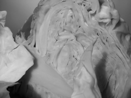 Macro closeup shot of cabbage natural texture surface background. Black and white photography