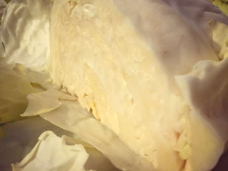 Macro closeup shot of cabbage natural texture surface backgroundの写真素材