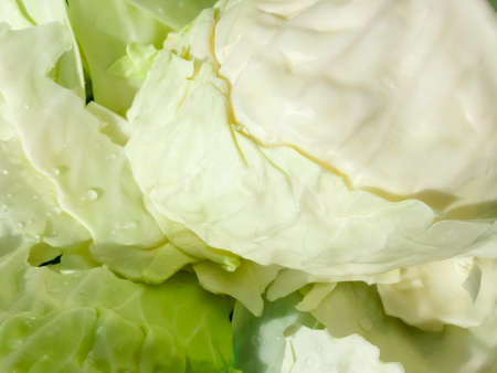 Macro closeup shot of cabbage natural texture surface backgroundの写真素材