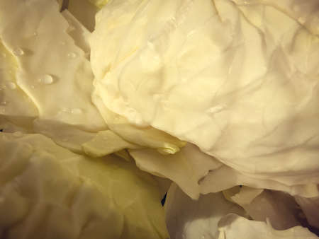 Macro closeup shot of cabbage natural texture surface backgroundの写真素材