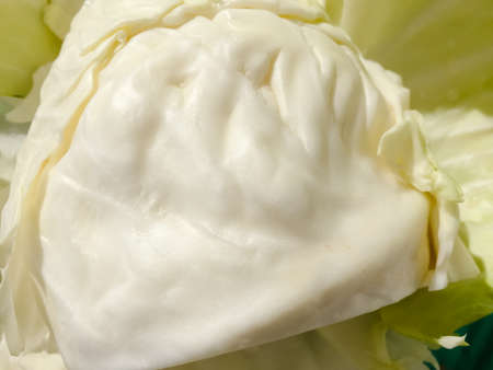 Macro closeup shot of cabbage natural texture surface backgroundの写真素材