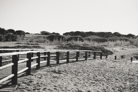 Beautiful sunny holiday travel seascape, wooden bridge on sandy beach outdoors tranquility backgroundの写真素材