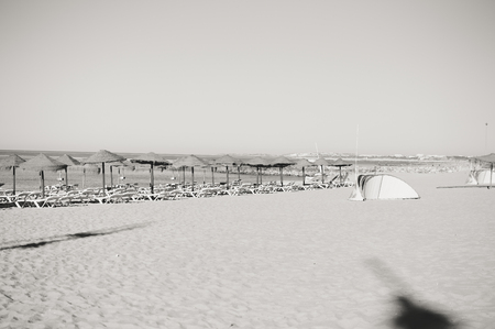 Black and white image of sunny beach umbrella idyllic mood beach relaxation seascape clear sky coastline.の写真素材